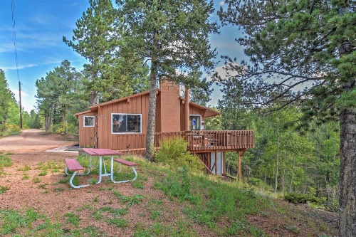 Horseshoe Lodge Divide Cabin with Furnished Deck! image 21