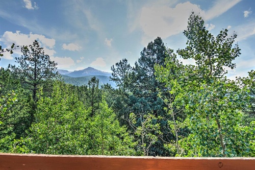 Horseshoe Lodge Divide Cabin with Furnished Deck! image 4